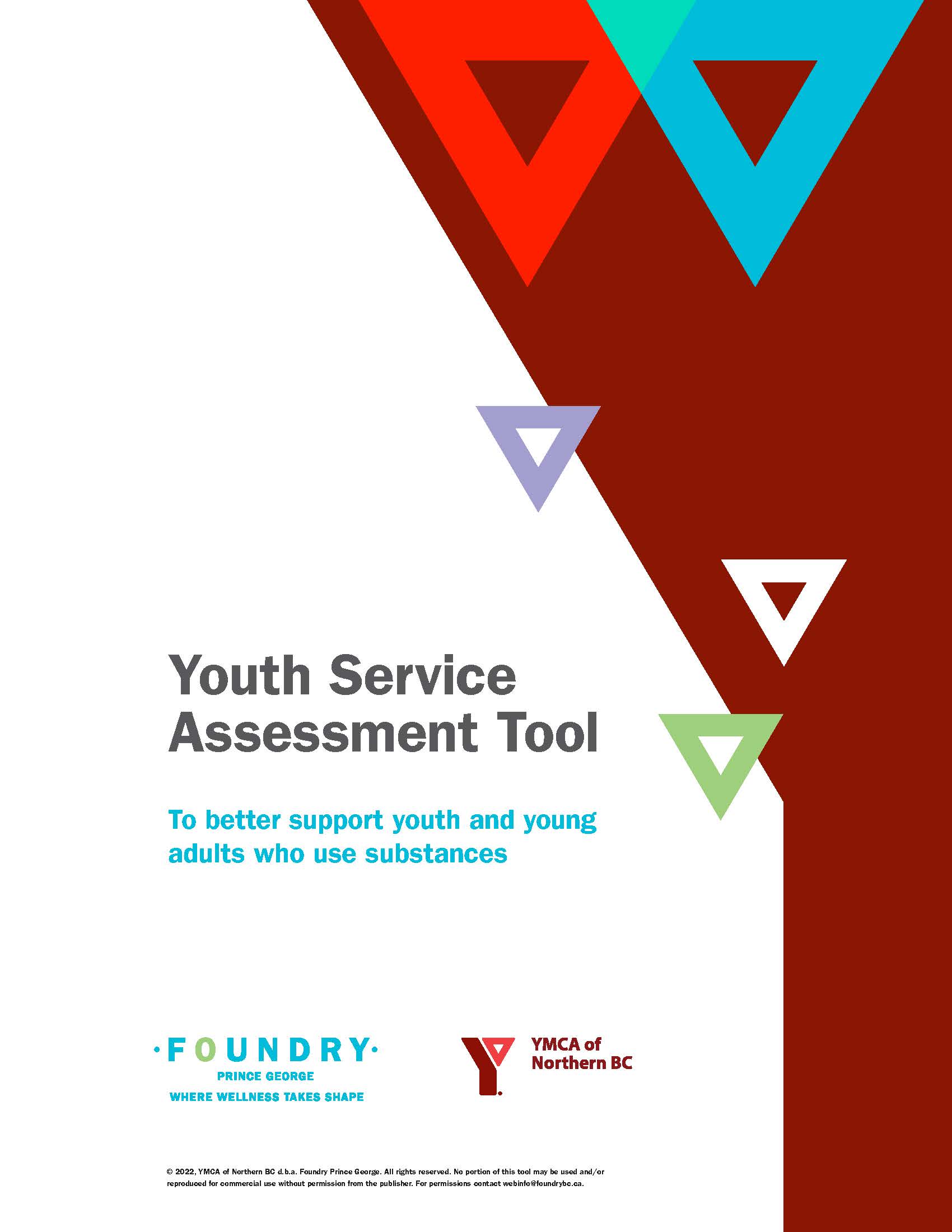 Youth Service Assessment Tool